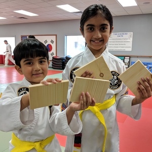 Fundraising Page: Ariyana and Nirvan Ritesh